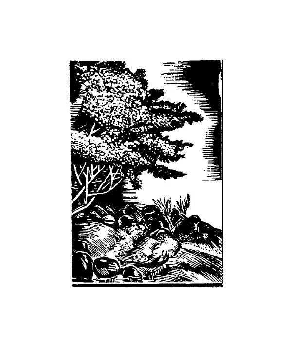 Ата Атаджанов - Соль дорог - Страница № 109