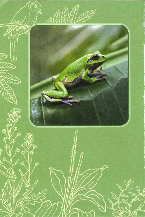 Андрей Плешаков - От земли до неба. Атлас-определитель - Страница № 2