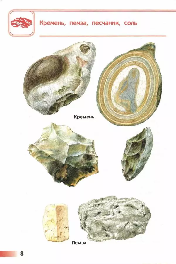 Андрей Плешаков - От земли до неба. Атлас-определитель - Страница № 10