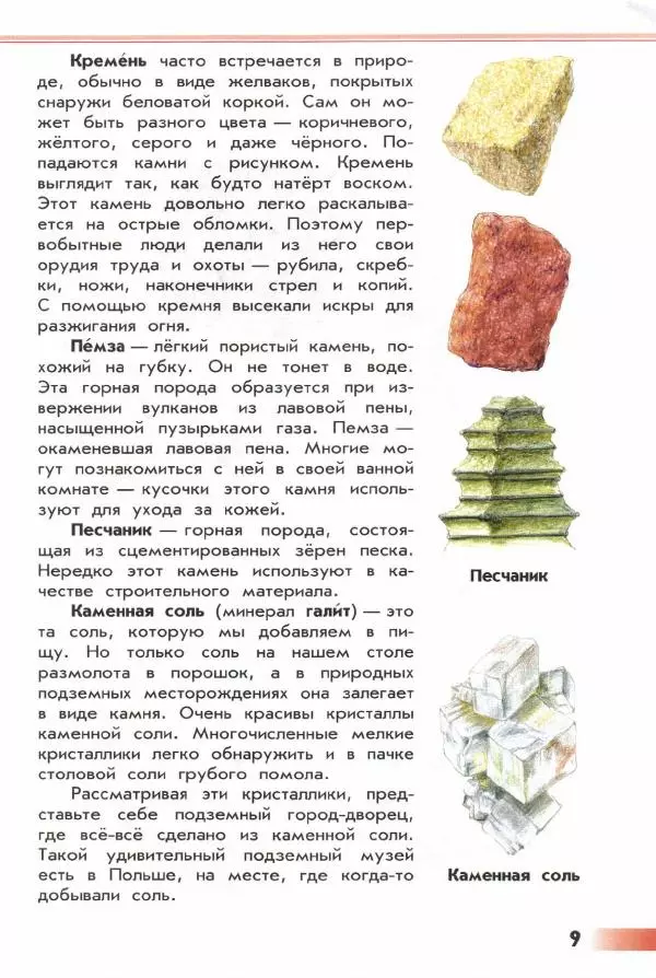 Андрей Плешаков - От земли до неба. Атлас-определитель - Страница № 11