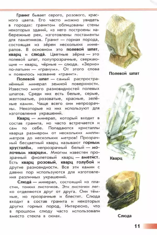 Андрей Плешаков - От земли до неба. Атлас-определитель - Страница № 13