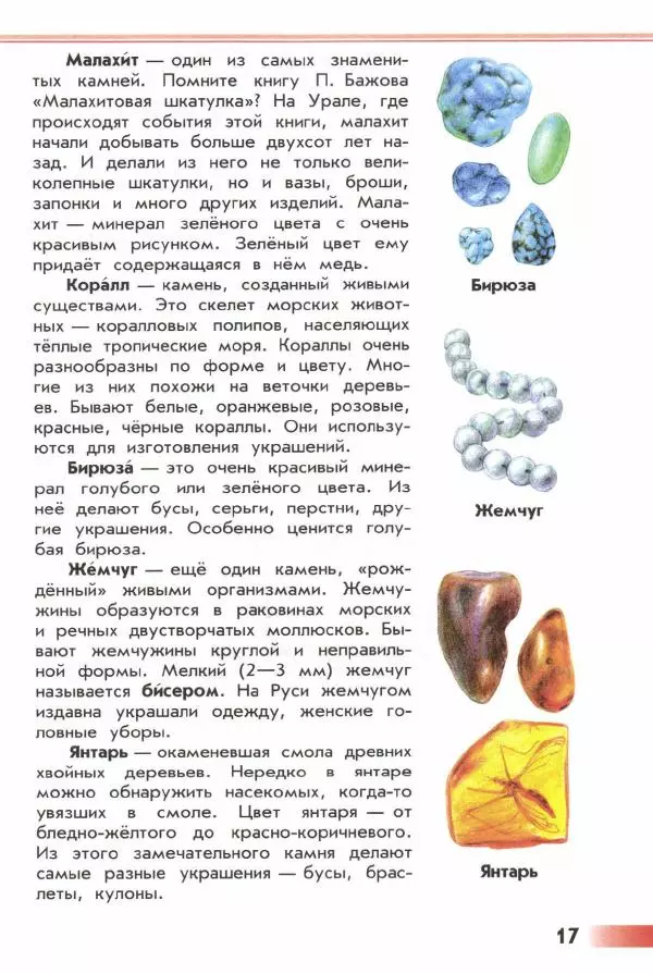 Андрей Плешаков - От земли до неба. Атлас-определитель - Страница № 19