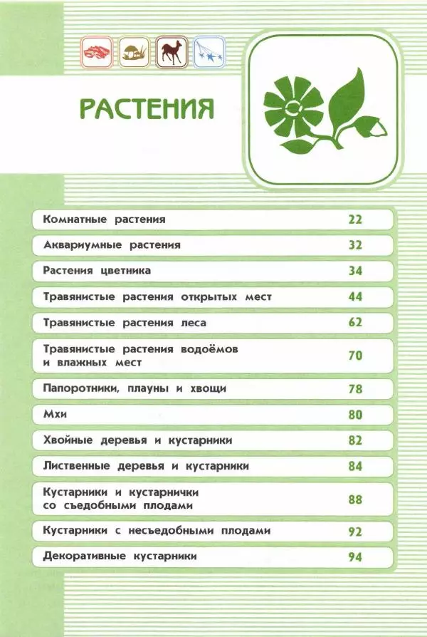 Андрей Плешаков - От земли до неба. Атлас-определитель - Страница № 21