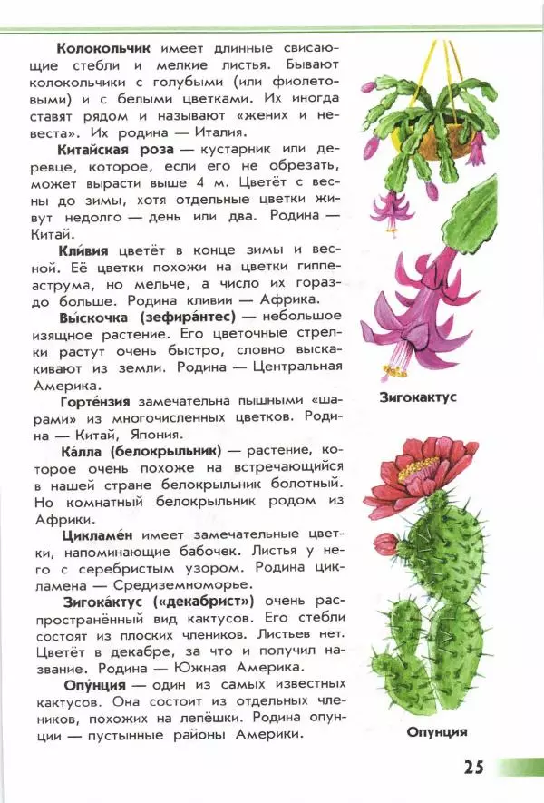 Андрей Плешаков - От земли до неба. Атлас-определитель - Страница № 27
