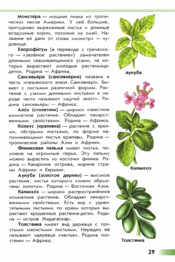 Андрей Плешаков - От земли до неба. Атлас-определитель - Страница № 31