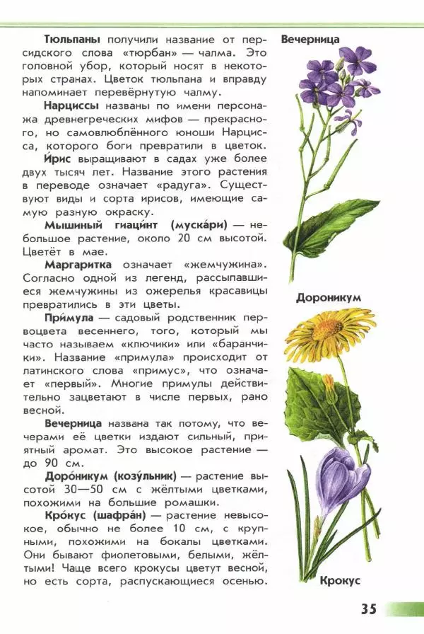 Андрей Плешаков - От земли до неба. Атлас-определитель - Страница № 37