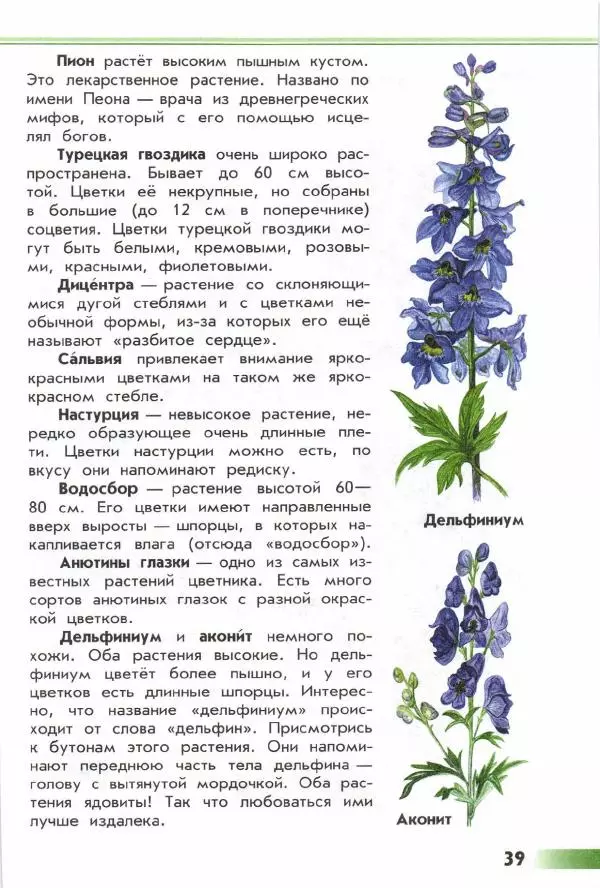 Андрей Плешаков - От земли до неба. Атлас-определитель - Страница № 41