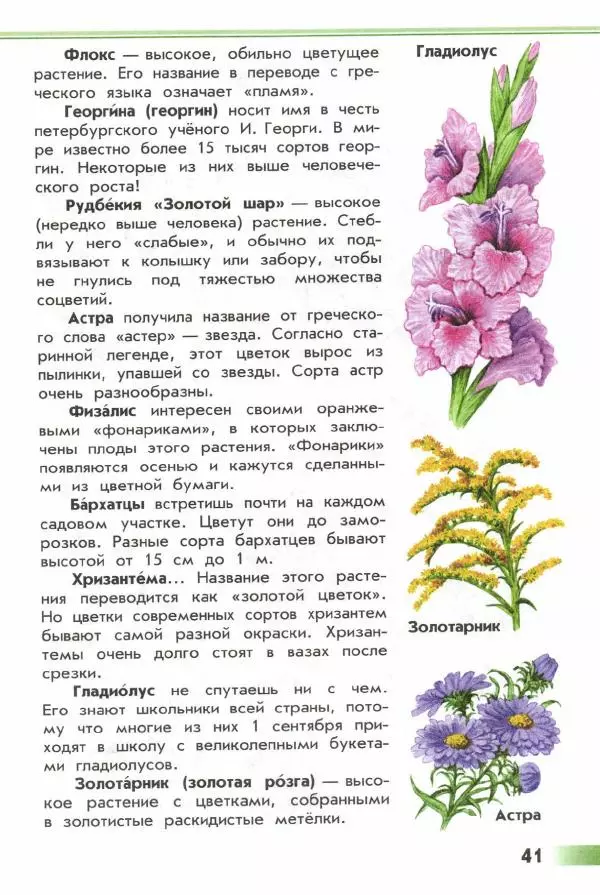 Андрей Плешаков - От земли до неба. Атлас-определитель - Страница № 43