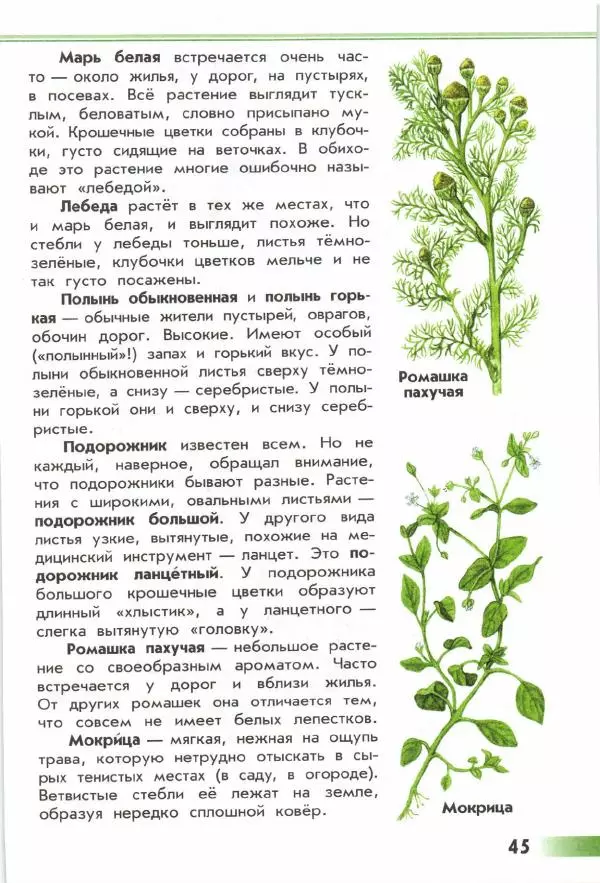 Андрей Плешаков - От земли до неба. Атлас-определитель - Страница № 47
