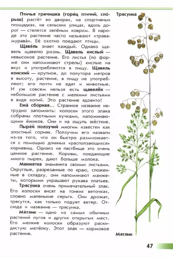 Андрей Плешаков - От земли до неба. Атлас-определитель - Страница № 49