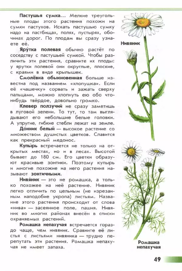 Андрей Плешаков - От земли до неба. Атлас-определитель - Страница № 51