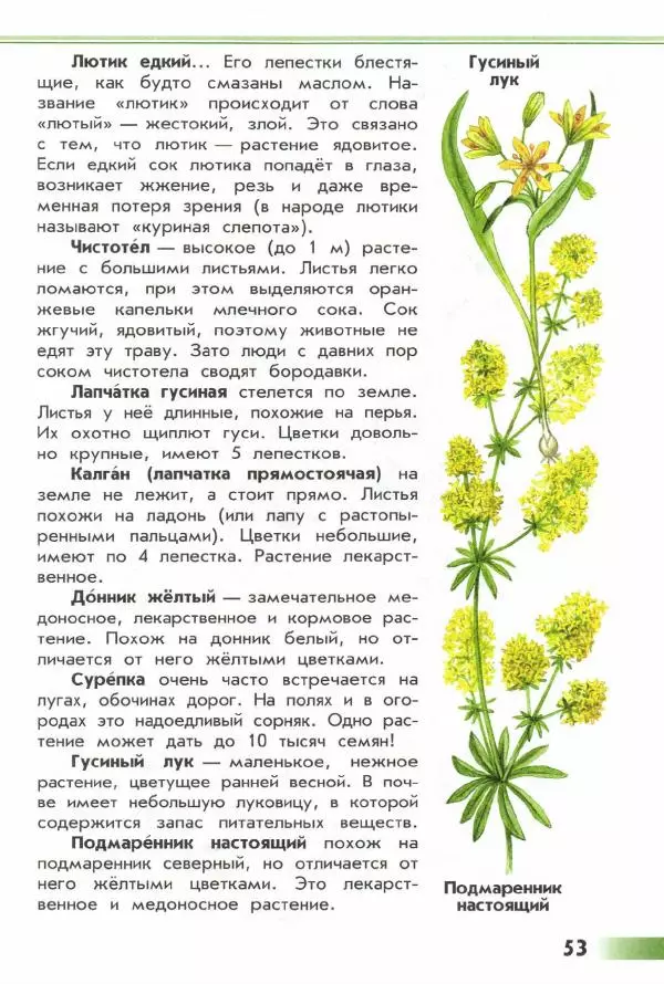 Андрей Плешаков - От земли до неба. Атлас-определитель - Страница № 55