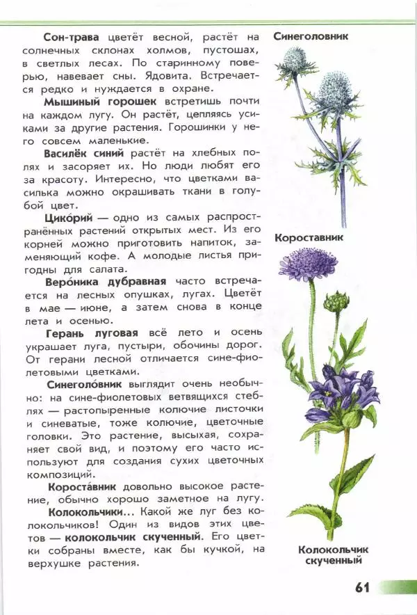 Андрей Плешаков - От земли до неба. Атлас-определитель - Страница № 63