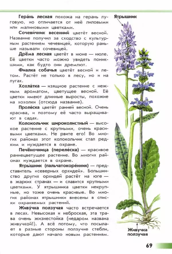 Андрей Плешаков - От земли до неба. Атлас-определитель - Страница № 71