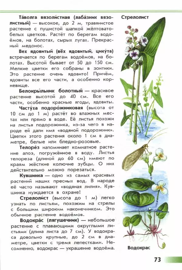 Андрей Плешаков - От земли до неба. Атлас-определитель - Страница № 75