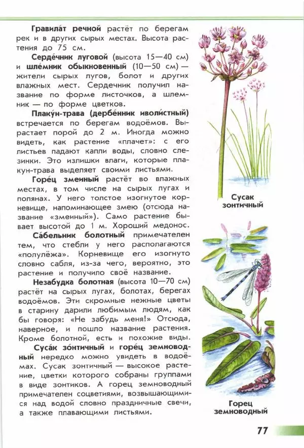 Андрей Плешаков - От земли до неба. Атлас-определитель - Страница № 79