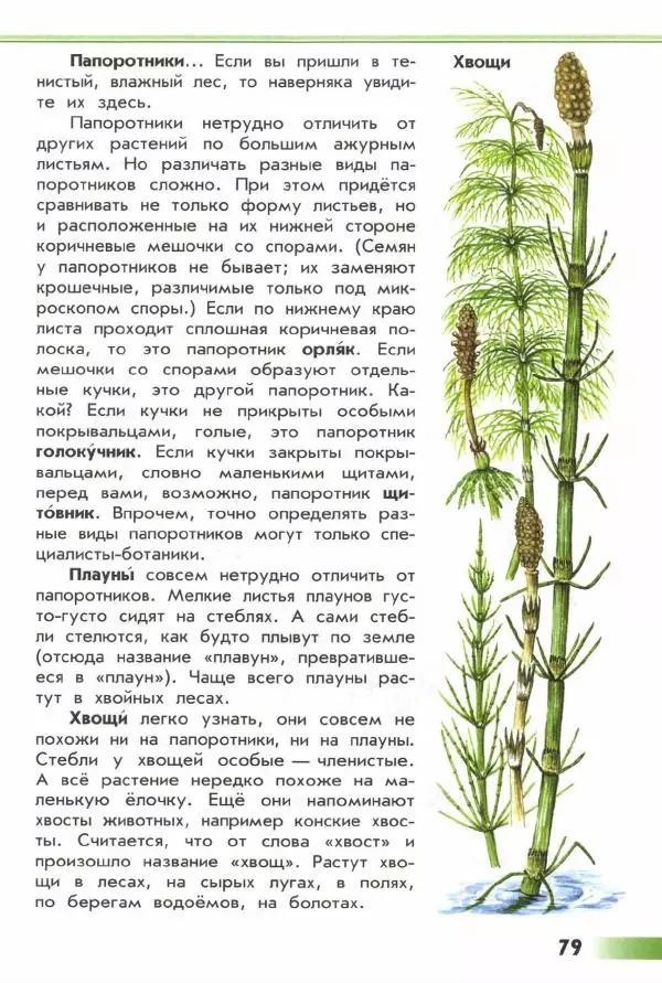 Андрей Плешаков - От земли до неба. Атлас-определитель - Страница № 81