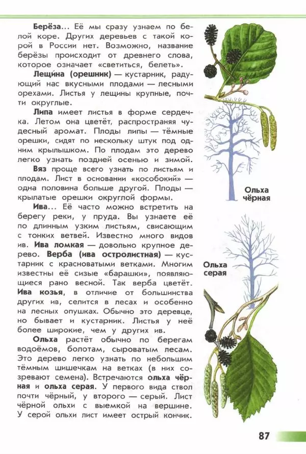 Андрей Плешаков - От земли до неба. Атлас-определитель - Страница № 89