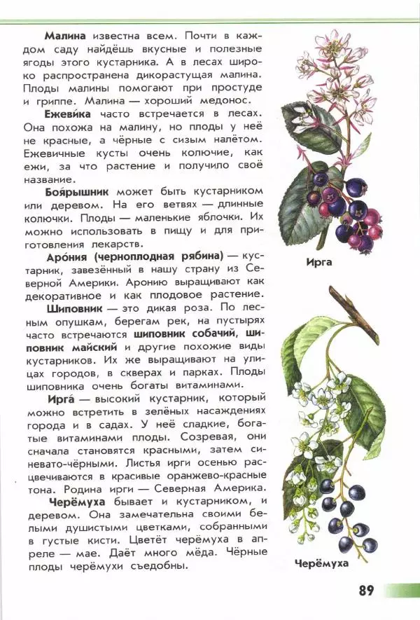 Андрей Плешаков - От земли до неба. Атлас-определитель - Страница № 91