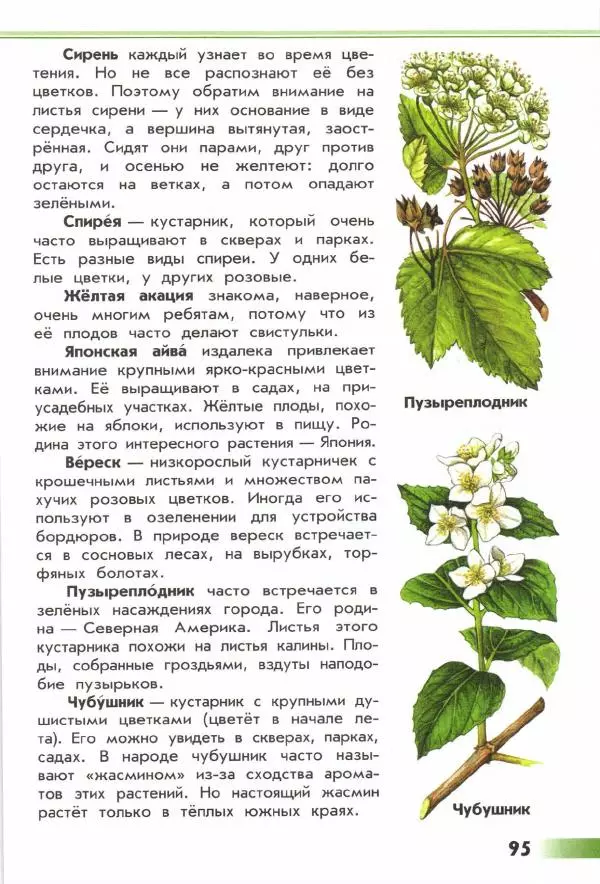 Андрей Плешаков - От земли до неба. Атлас-определитель - Страница № 97