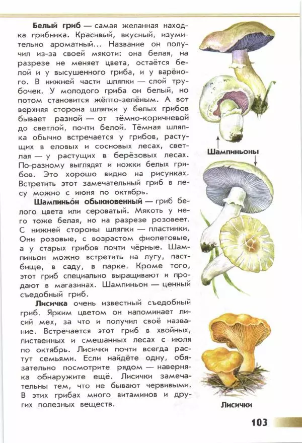 Андрей Плешаков - От земли до неба. Атлас-определитель - Страница № 105
