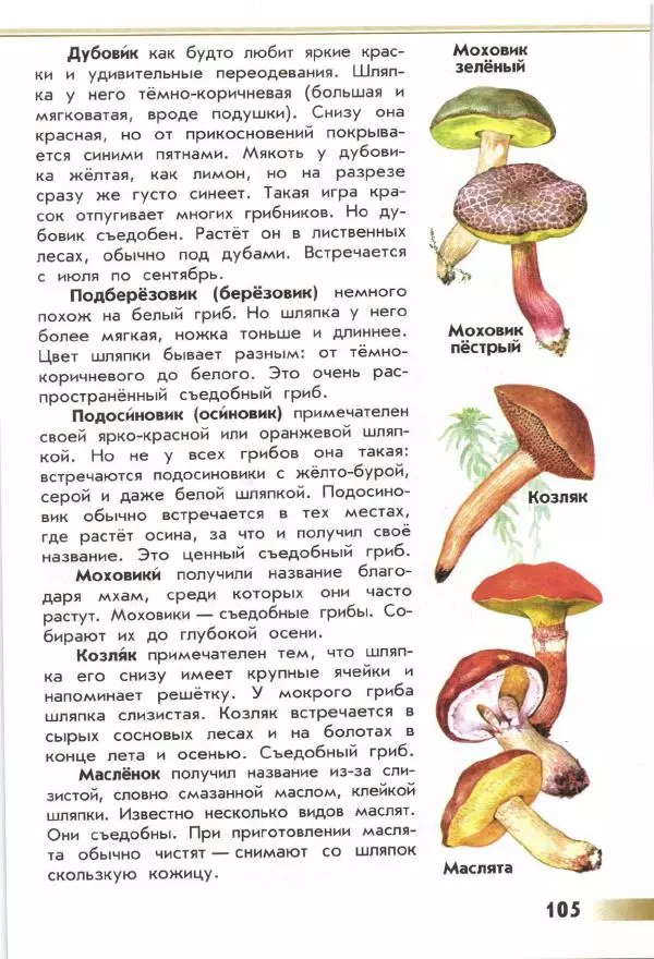 Андрей Плешаков - От земли до неба. Атлас-определитель - Страница № 107