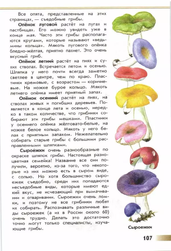 Андрей Плешаков - От земли до неба. Атлас-определитель - Страница № 109