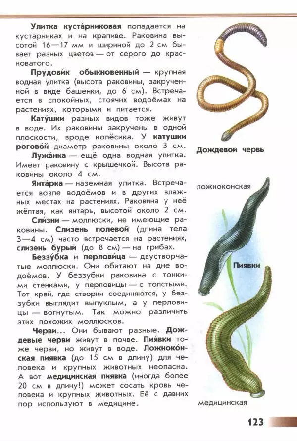 Андрей Плешаков - От земли до неба. Атлас-определитель - Страница № 125