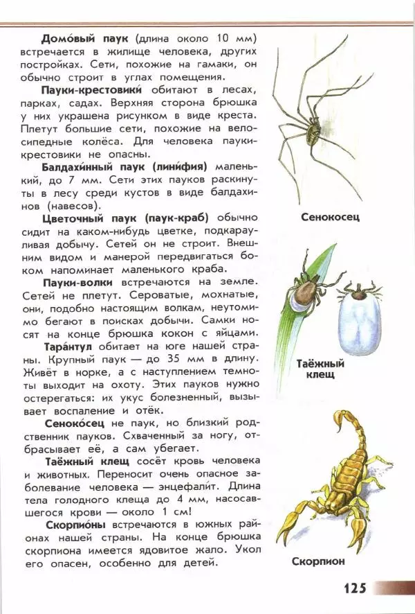 Андрей Плешаков - От земли до неба. Атлас-определитель - Страница № 127