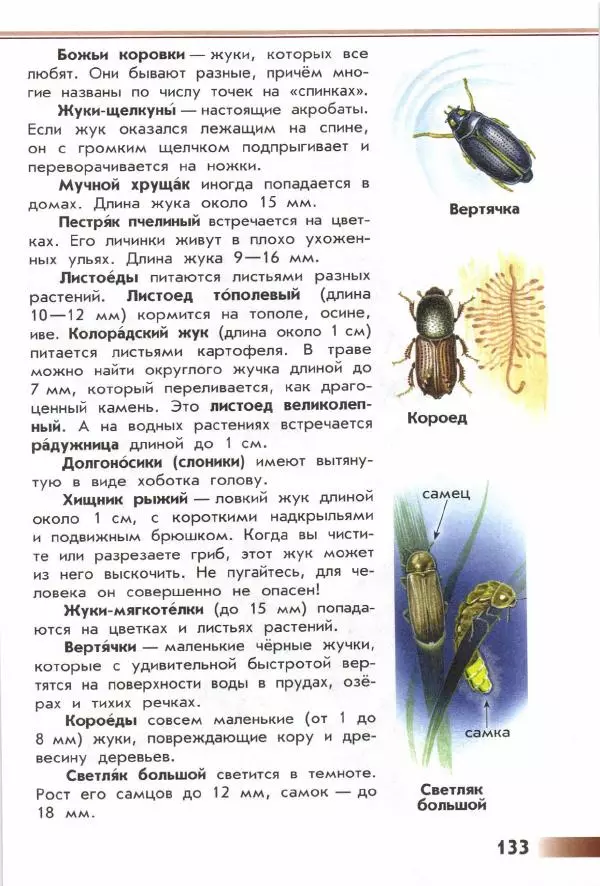 Андрей Плешаков - От земли до неба. Атлас-определитель - Страница № 135