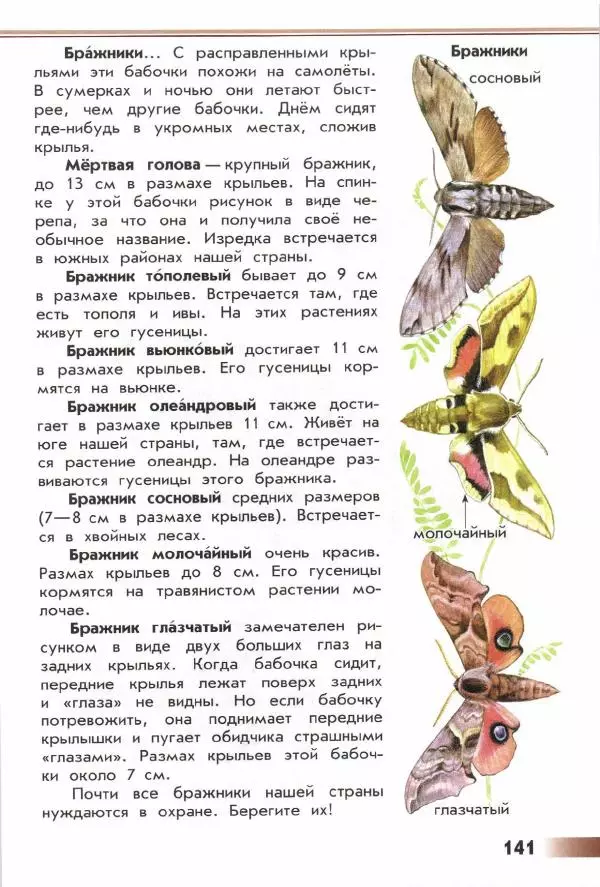 Андрей Плешаков - От земли до неба. Атлас-определитель - Страница № 143