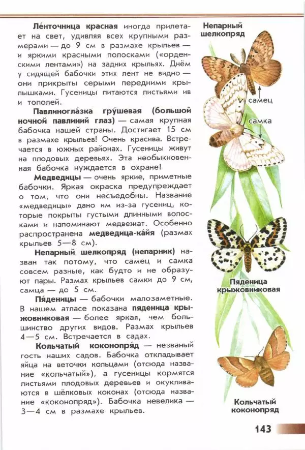Андрей Плешаков - От земли до неба. Атлас-определитель - Страница № 145