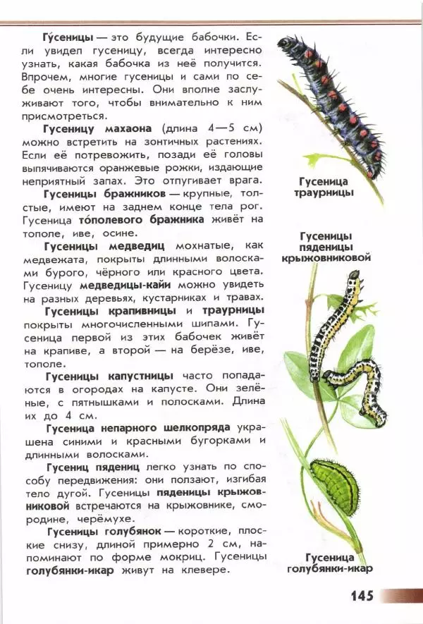 Андрей Плешаков - От земли до неба. Атлас-определитель - Страница № 147