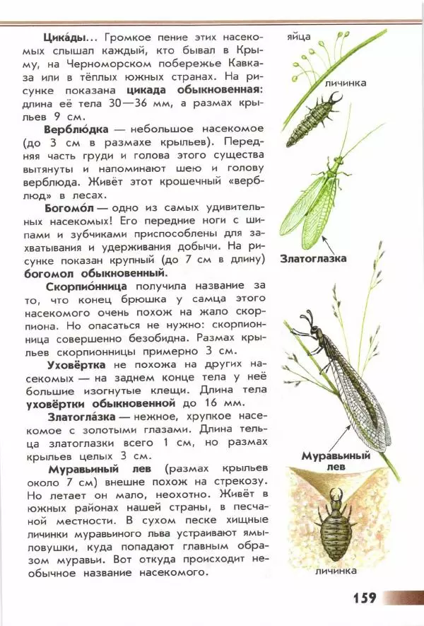 Андрей Плешаков - От земли до неба. Атлас-определитель - Страница № 161