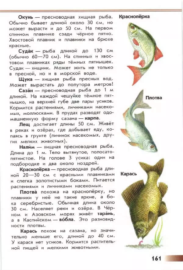 Андрей Плешаков - От земли до неба. Атлас-определитель - Страница № 163