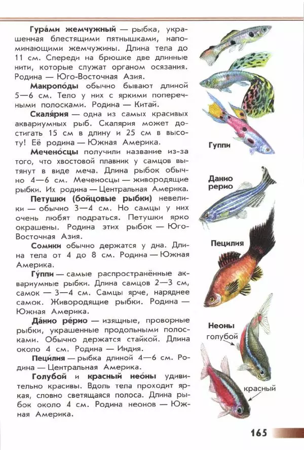Андрей Плешаков - От земли до неба. Атлас-определитель - Страница № 167
