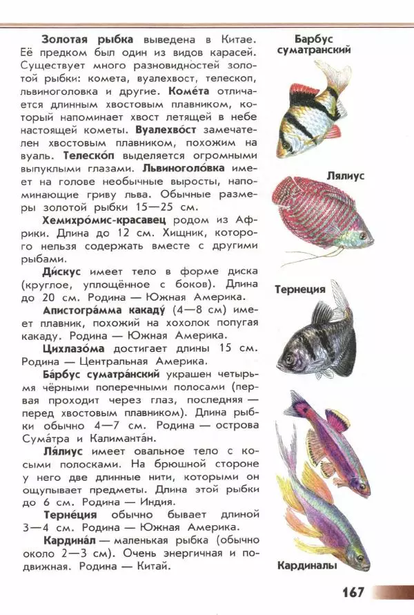 Андрей Плешаков - От земли до неба. Атлас-определитель - Страница № 169