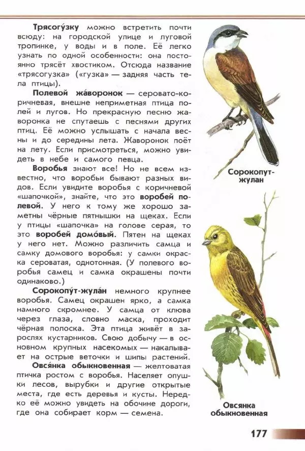 Андрей Плешаков - От земли до неба. Атлас-определитель - Страница № 179