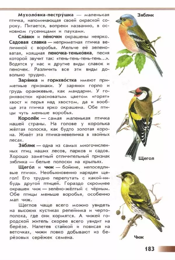 Андрей Плешаков - От земли до неба. Атлас-определитель - Страница № 185