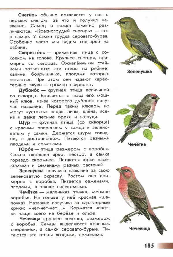 Андрей Плешаков - От земли до неба. Атлас-определитель - Страница № 187