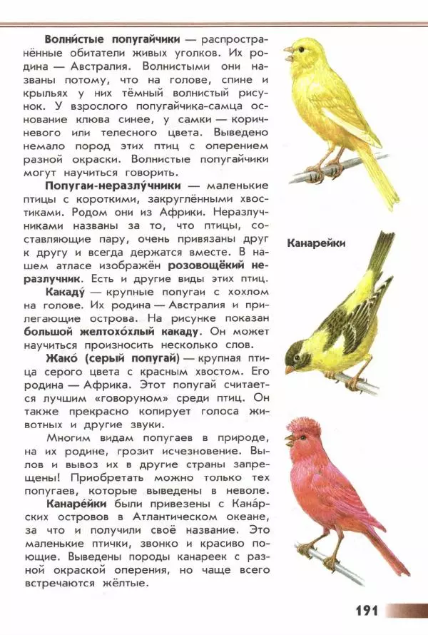 Андрей Плешаков - От земли до неба. Атлас-определитель - Страница № 193