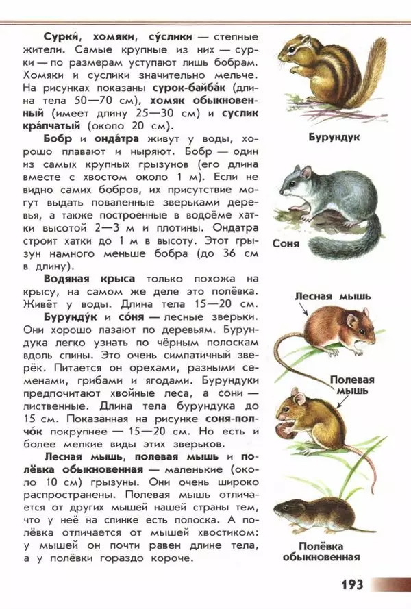 Андрей Плешаков - От земли до неба. Атлас-определитель - Страница № 195