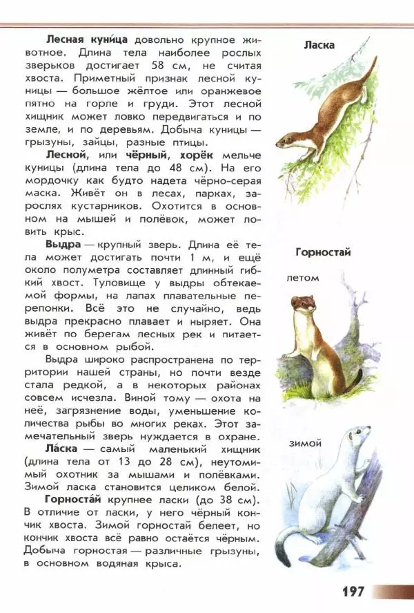 Андрей Плешаков - От земли до неба. Атлас-определитель - Страница № 199