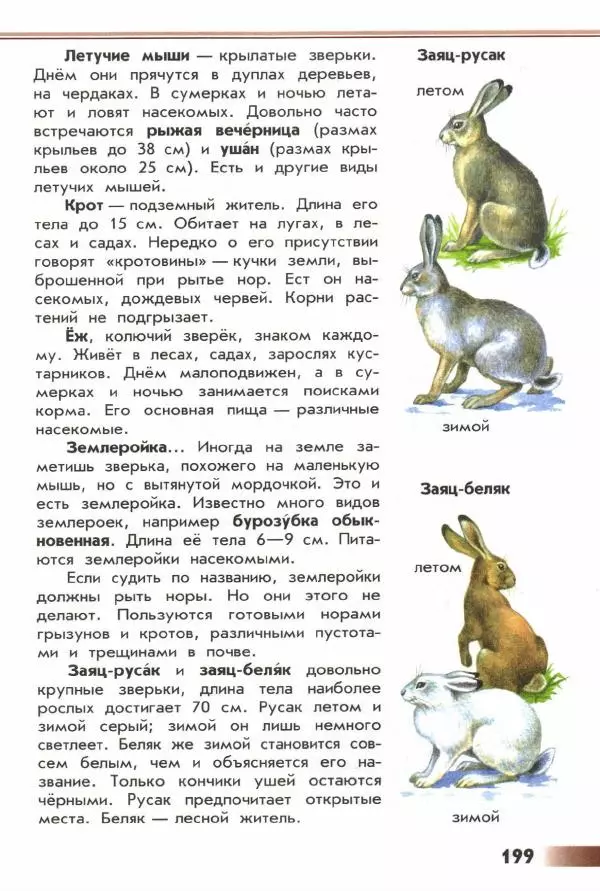 Андрей Плешаков - От земли до неба. Атлас-определитель - Страница № 201