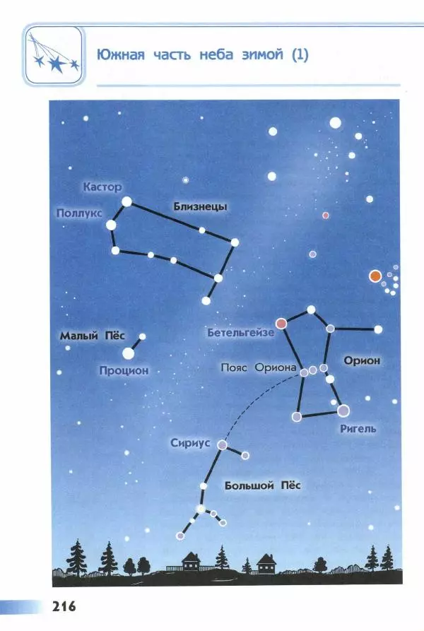 Андрей Плешаков - От земли до неба. Атлас-определитель - Страница № 218