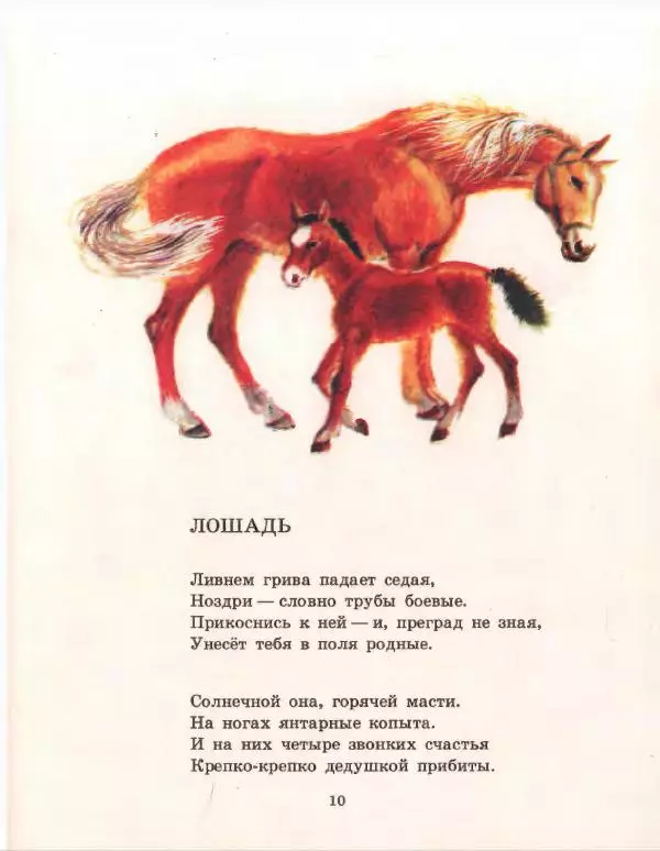 Галина Новицкая - Звонкий день - Страница № 14