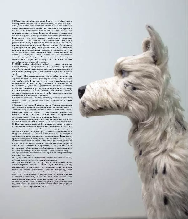 Райан Стивенсон - The Wes Anderson Collection. "Остров собак". Иллюстрированная история создания фильма - Страница № 215