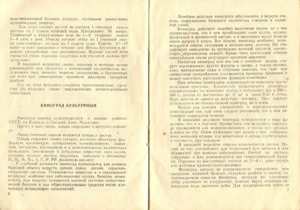  Коллектив авторов - Пищевые растения и их целебные свойства - Страница № 5