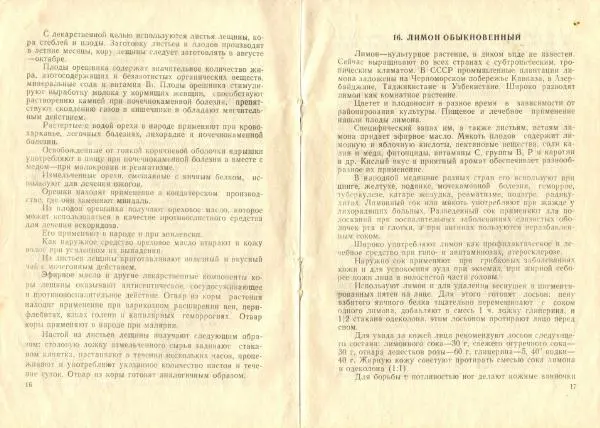  Коллектив авторов - Пищевые растения и их целебные свойства - Страница № 10