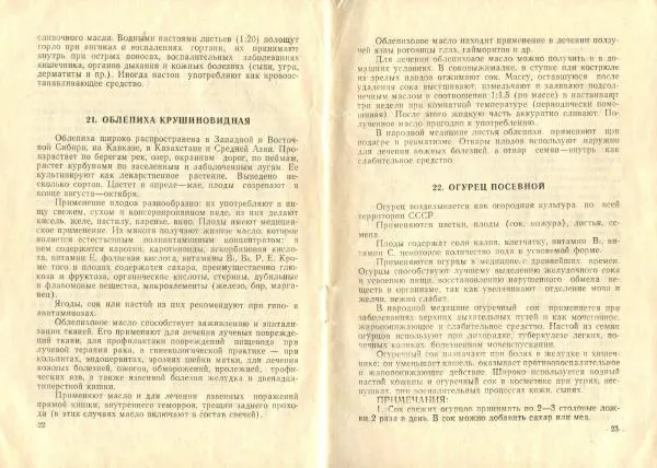  Коллектив авторов - Пищевые растения и их целебные свойства - Страница № 13